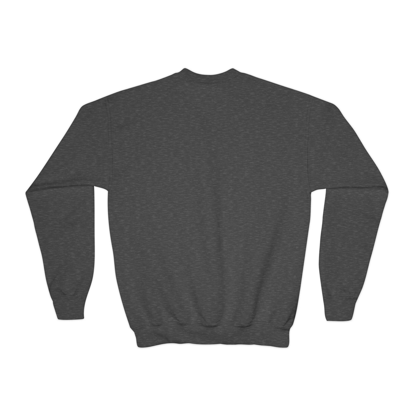 Youth The Earth is full of His Goodness Sweatshirt